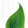 Premium Eco-friendly Products